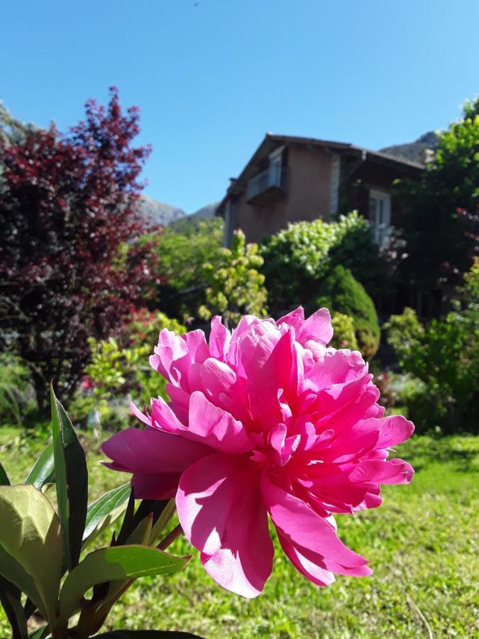 Bed and Breakfast A La Belle Epoque Valdeblore Esterno foto