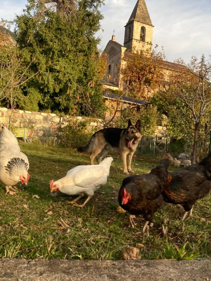 Bed and Breakfast A La Belle Epoque Valdeblore Esterno foto