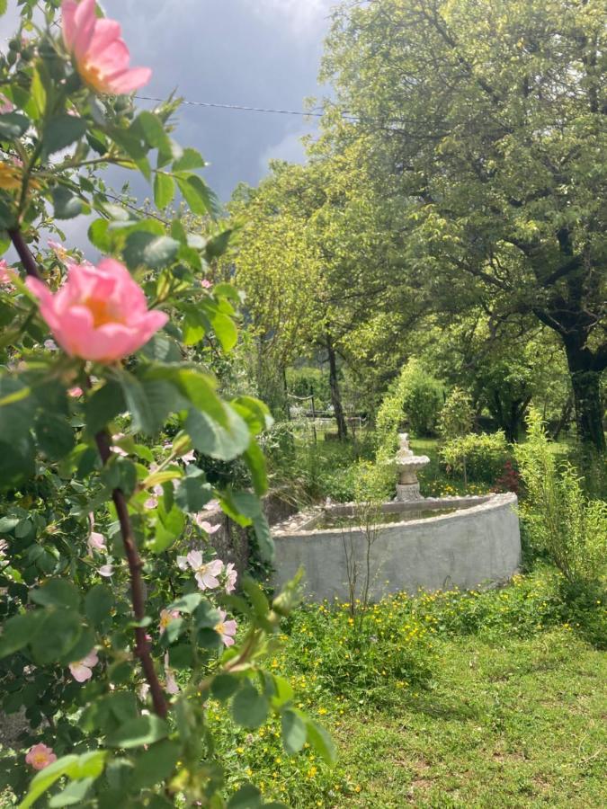 Bed and Breakfast A La Belle Epoque Valdeblore Esterno foto
