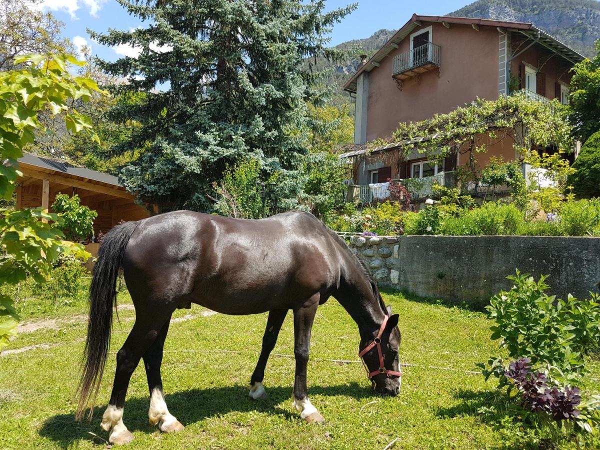 Bed and Breakfast A La Belle Epoque Valdeblore Esterno foto