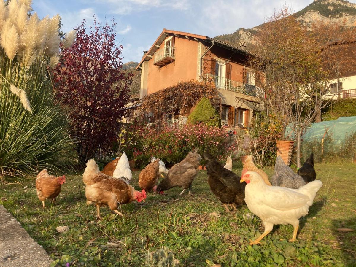 Bed and Breakfast A La Belle Epoque Valdeblore Esterno foto