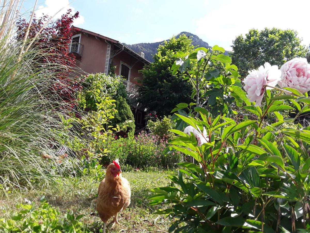 Bed and Breakfast A La Belle Epoque Valdeblore Esterno foto